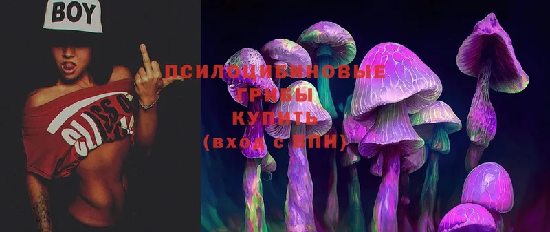 KRAKEN ссылка  Бугульма  Галлюциногенные грибы Psilocybe 